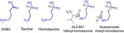 GABAA receptors as plausible molecular targets and mediators for taurine and homotaurine actions